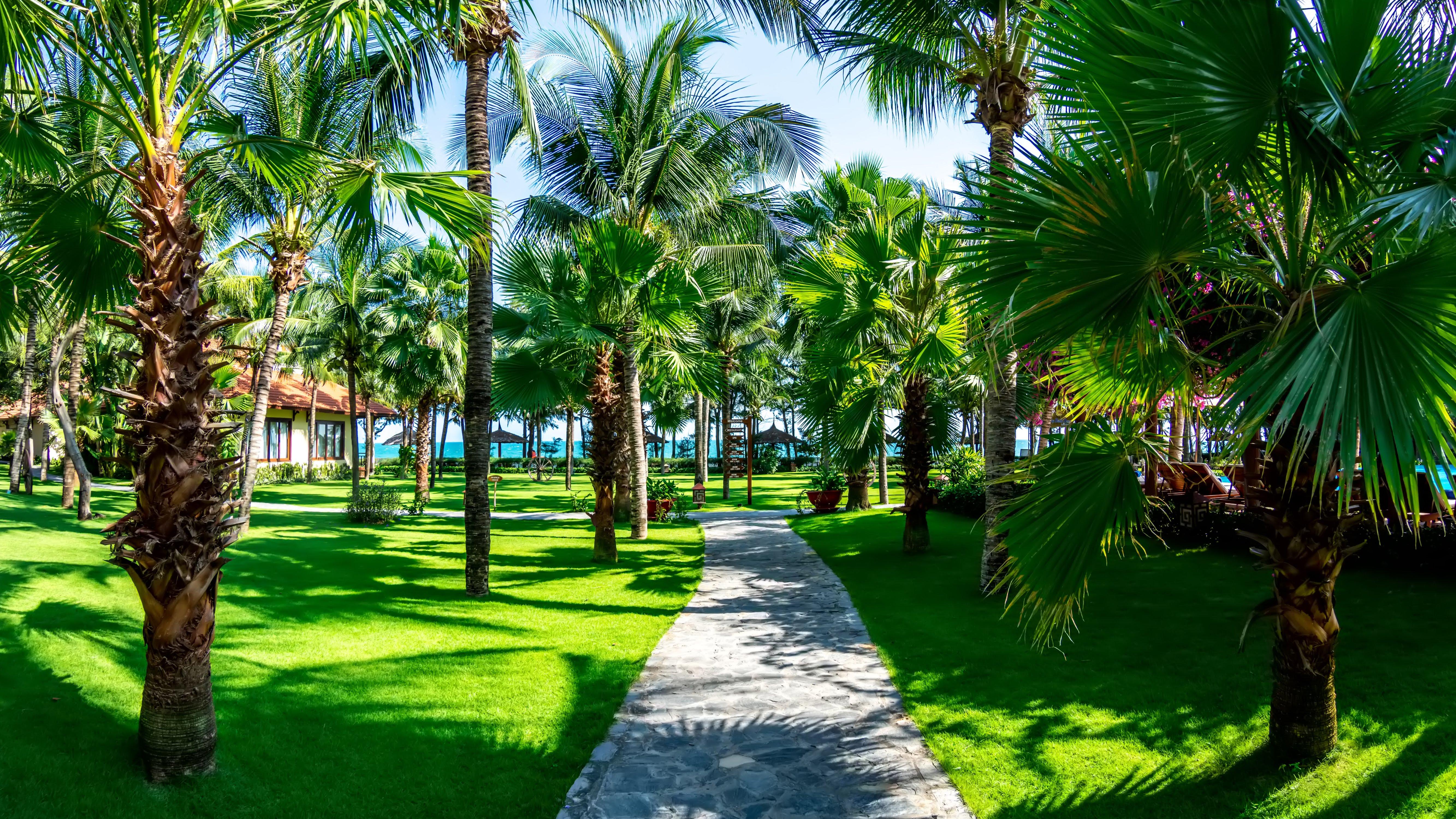 Sunny Beach Resort & Spa Phan Thiet Dış mekan fotoğraf