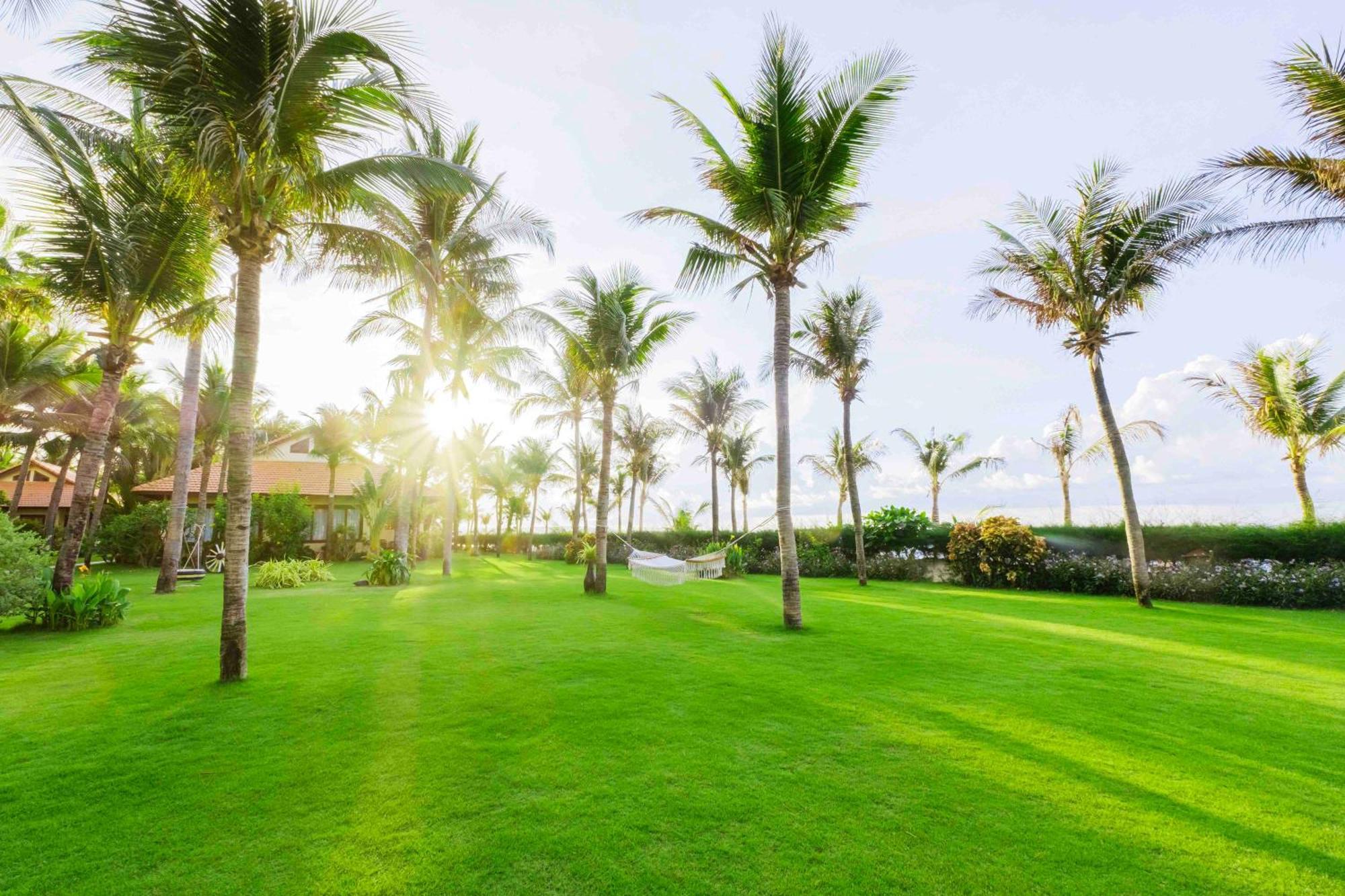 Sunny Beach Resort & Spa Phan Thiet Dış mekan fotoğraf